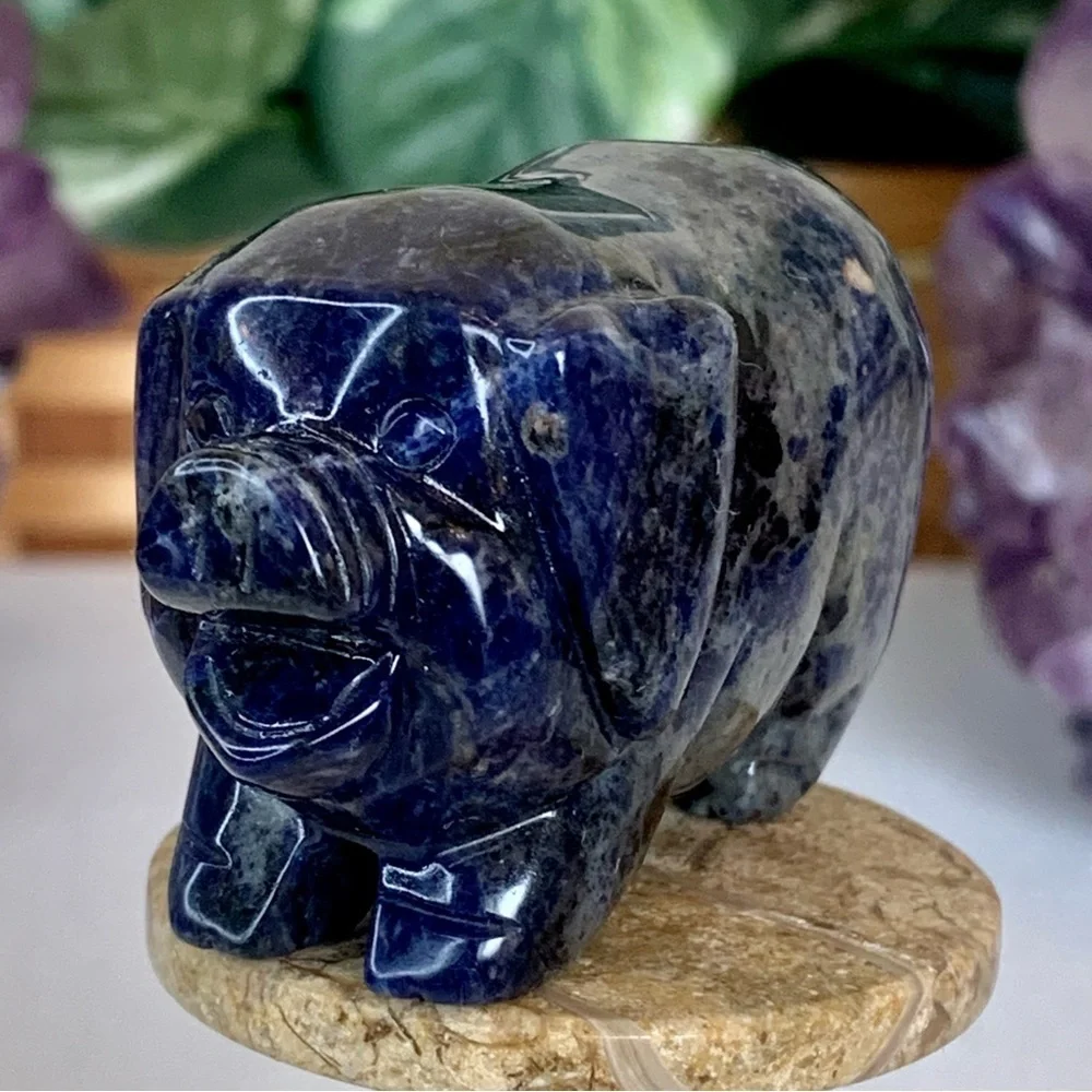 Sodalite Crystal Carved Pig Figurine Blue Stone Animal Carving Chinese Zodiac